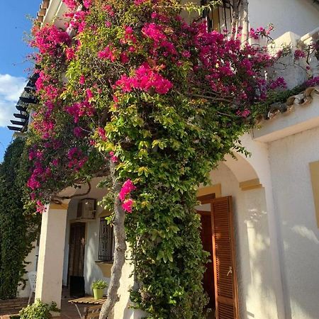 Casa Hermosa ミハス エクステリア 写真