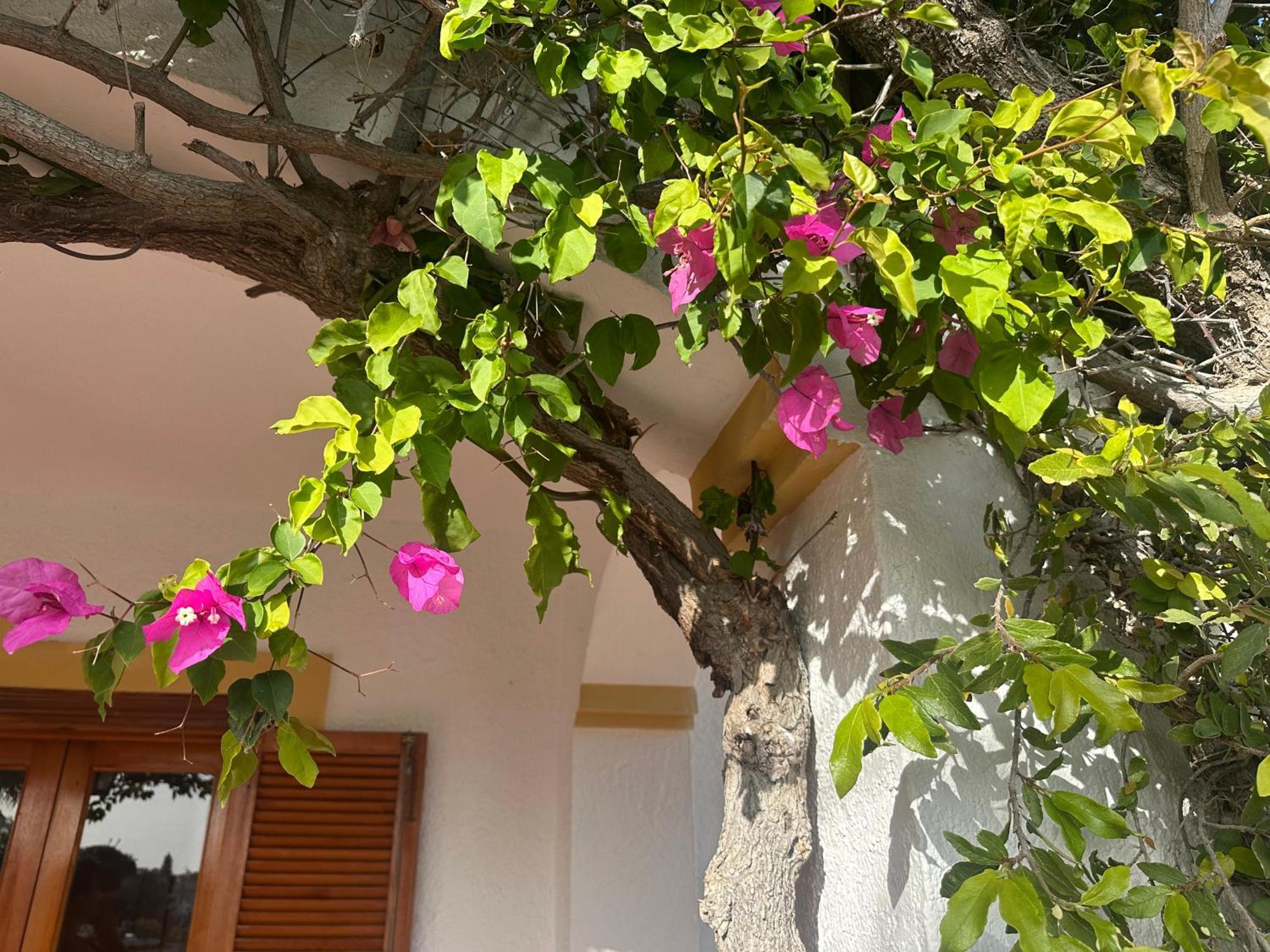 Casa Hermosa ミハス エクステリア 写真